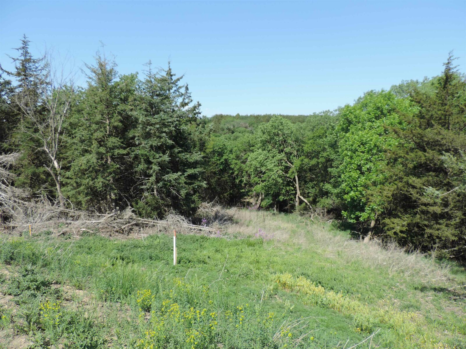 Photo of Lot 15 Beltrane Drive Yankton, SD