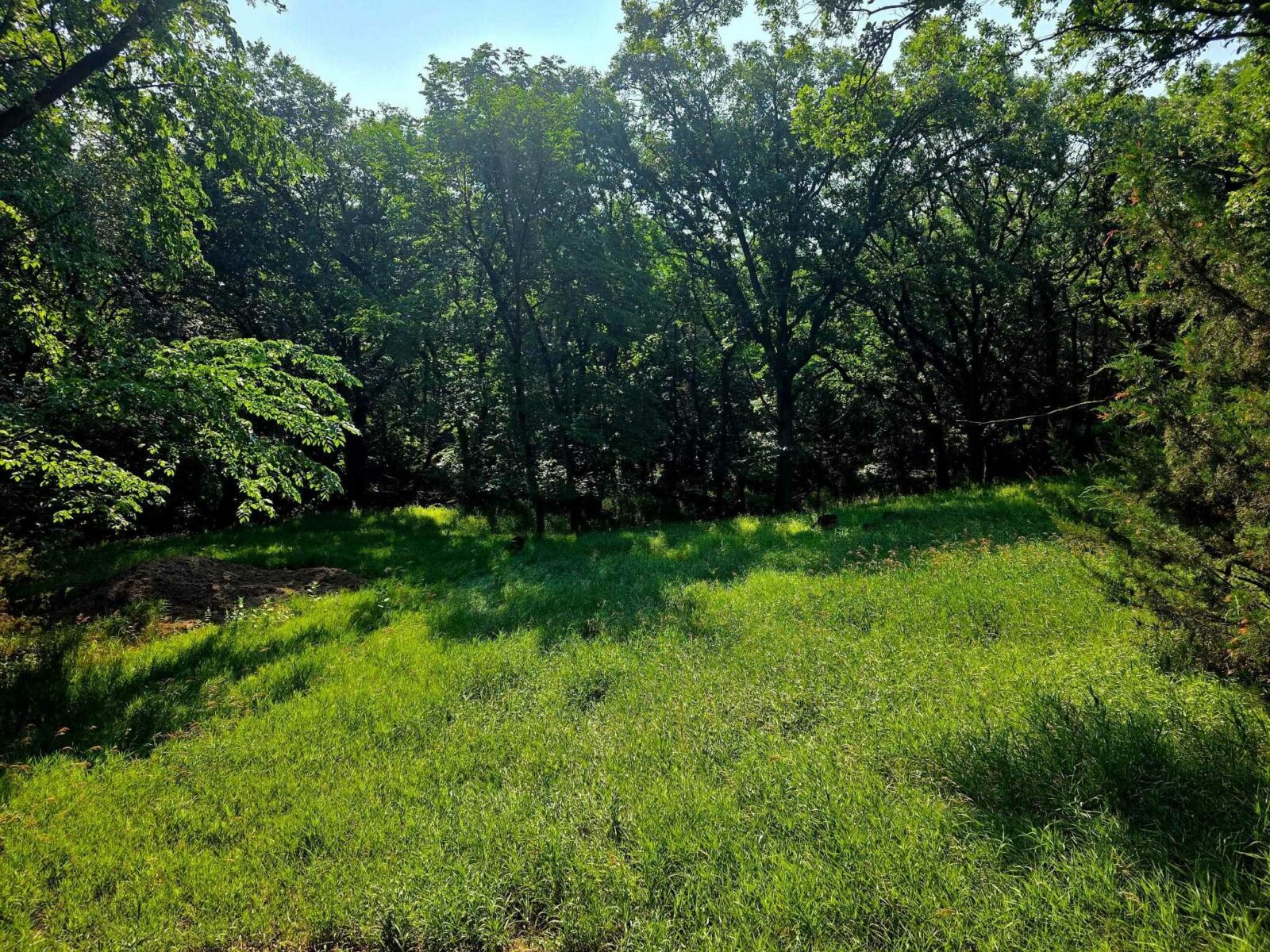 Photo of 292 Russell  Rd Yankton, SD